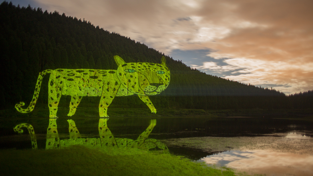 VJ Suave - Projection Mapping at São Miguel Island, Azores