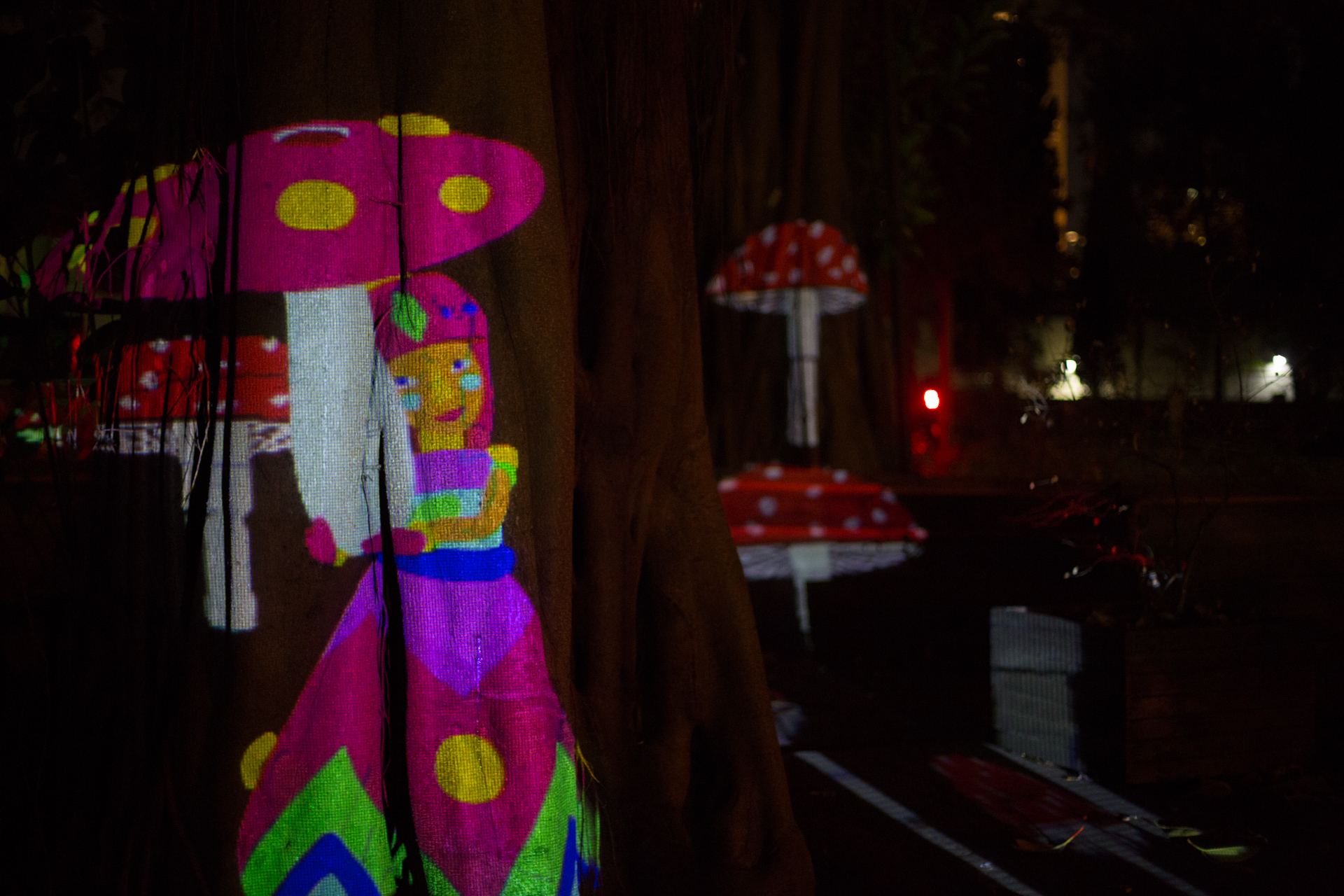 Festival de Luzes de São Paulo