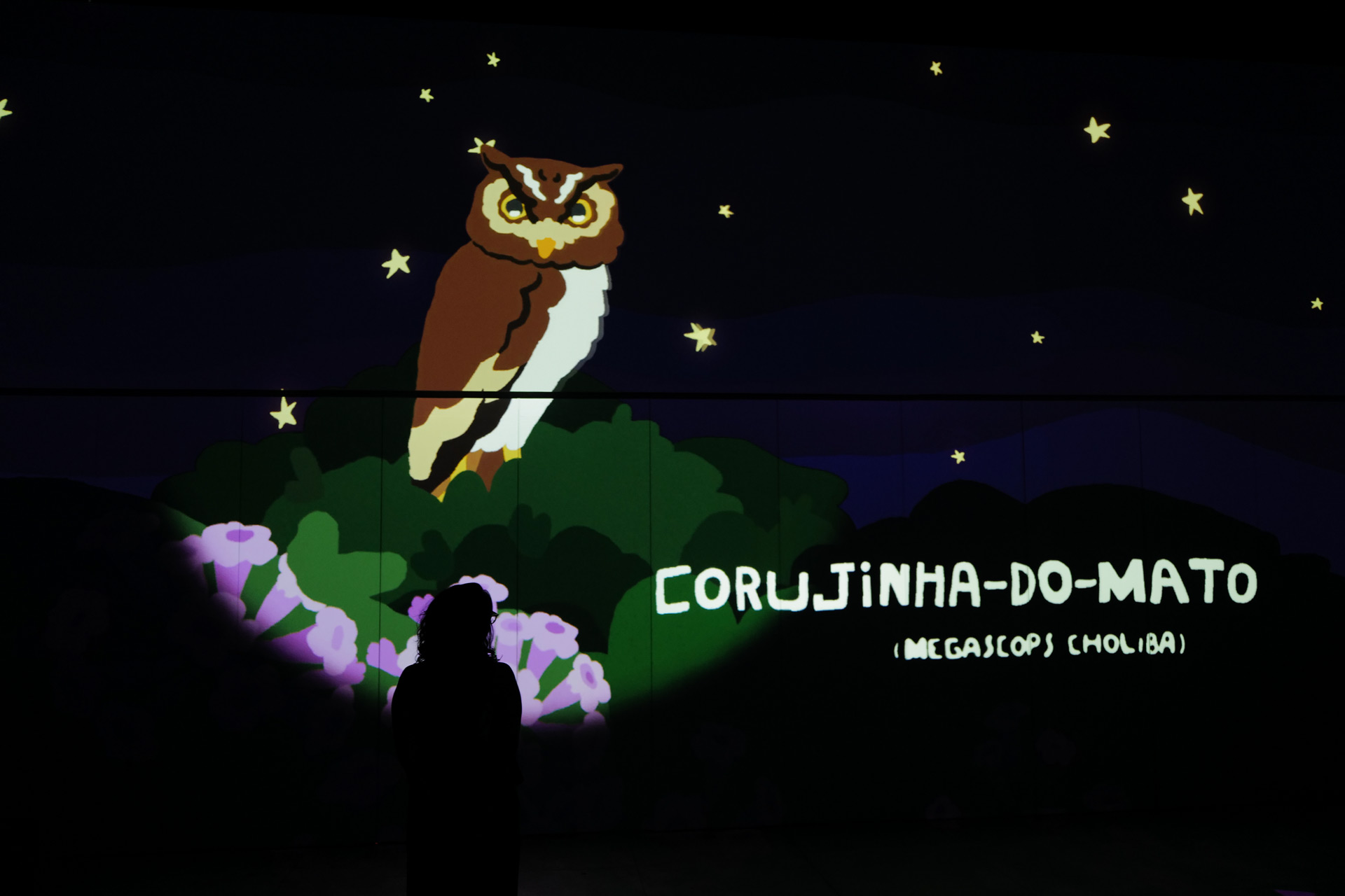 Photo inside the immersive intallation, Corujinha do Mato. Photography by Ygor Marotta