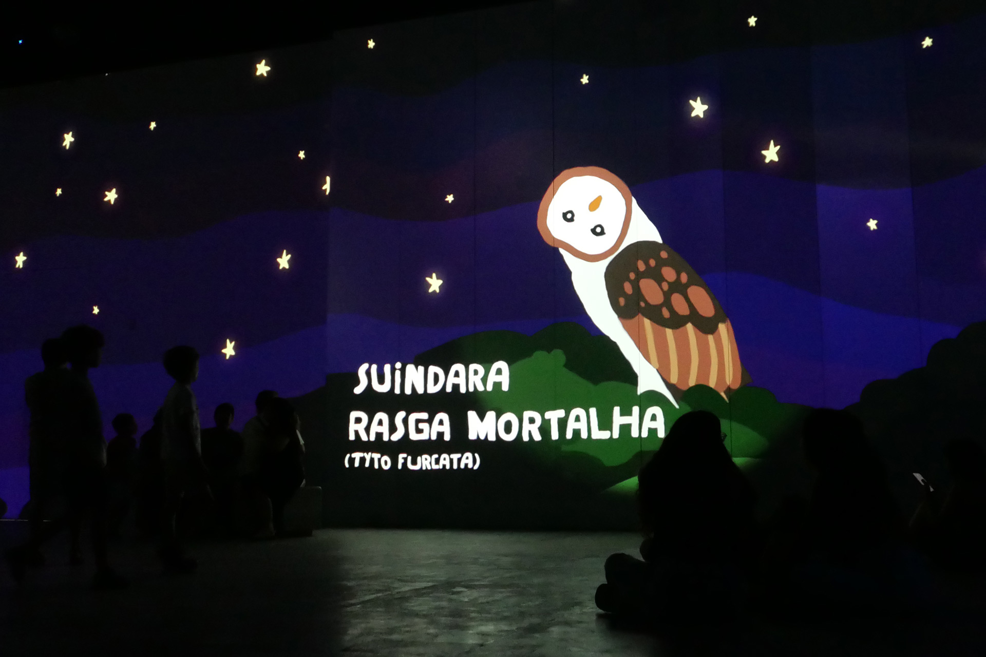Photo inside the immersive intallation. Bird Suindara Rasga Mortalha Photography by Ygor Marotta