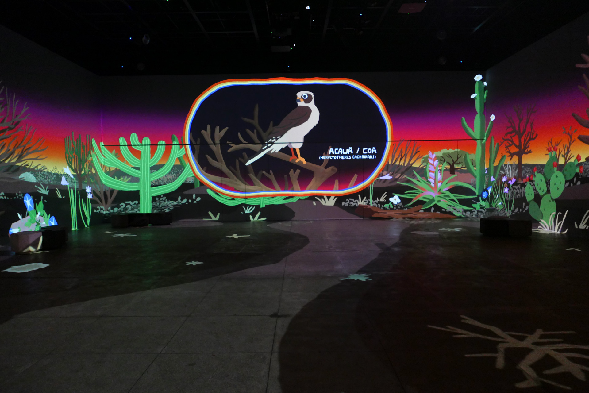 Photo of a bird magnifyed, inside the immersive intallation Photography by Ygor Marotta