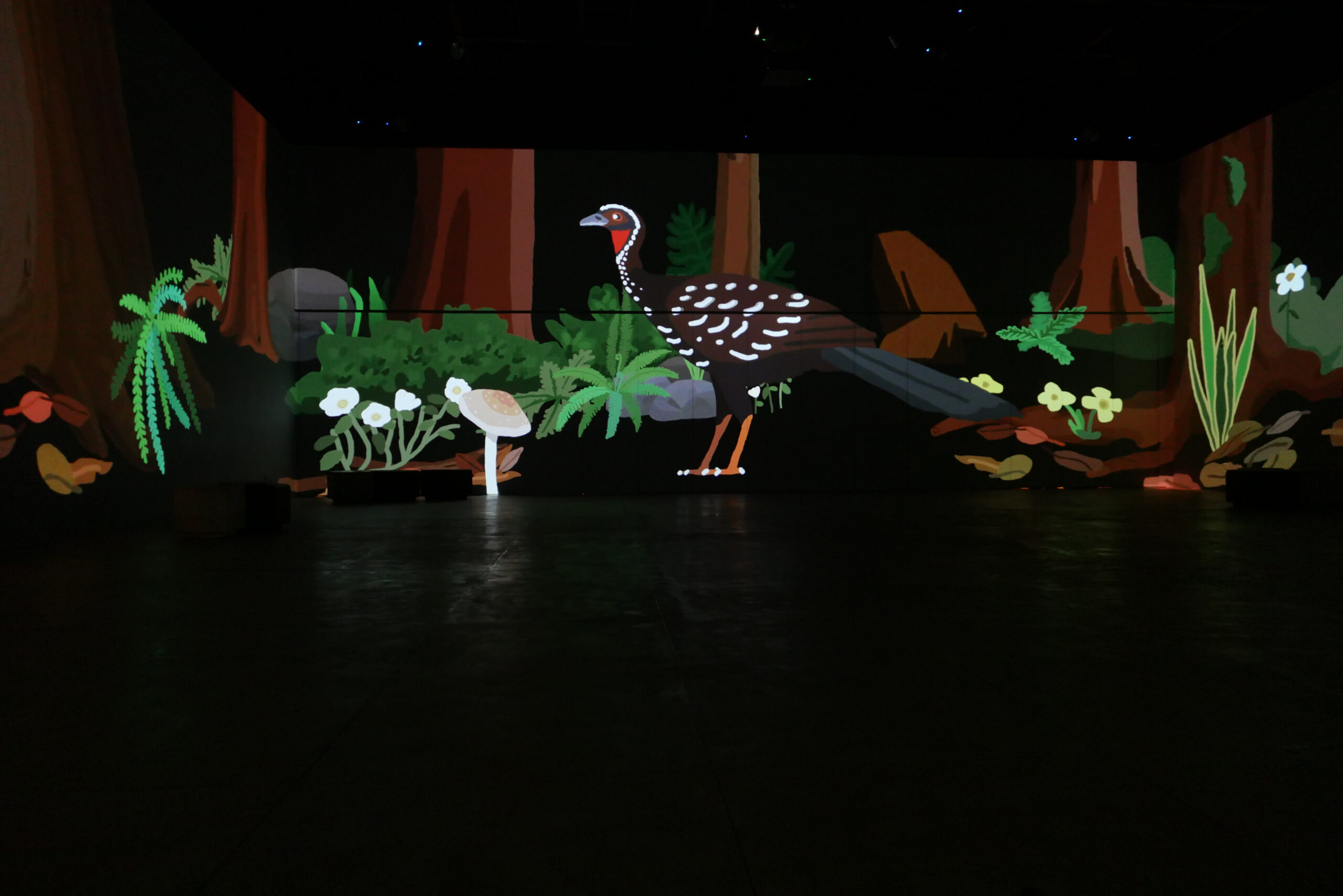 Photo inside the immersive intallation