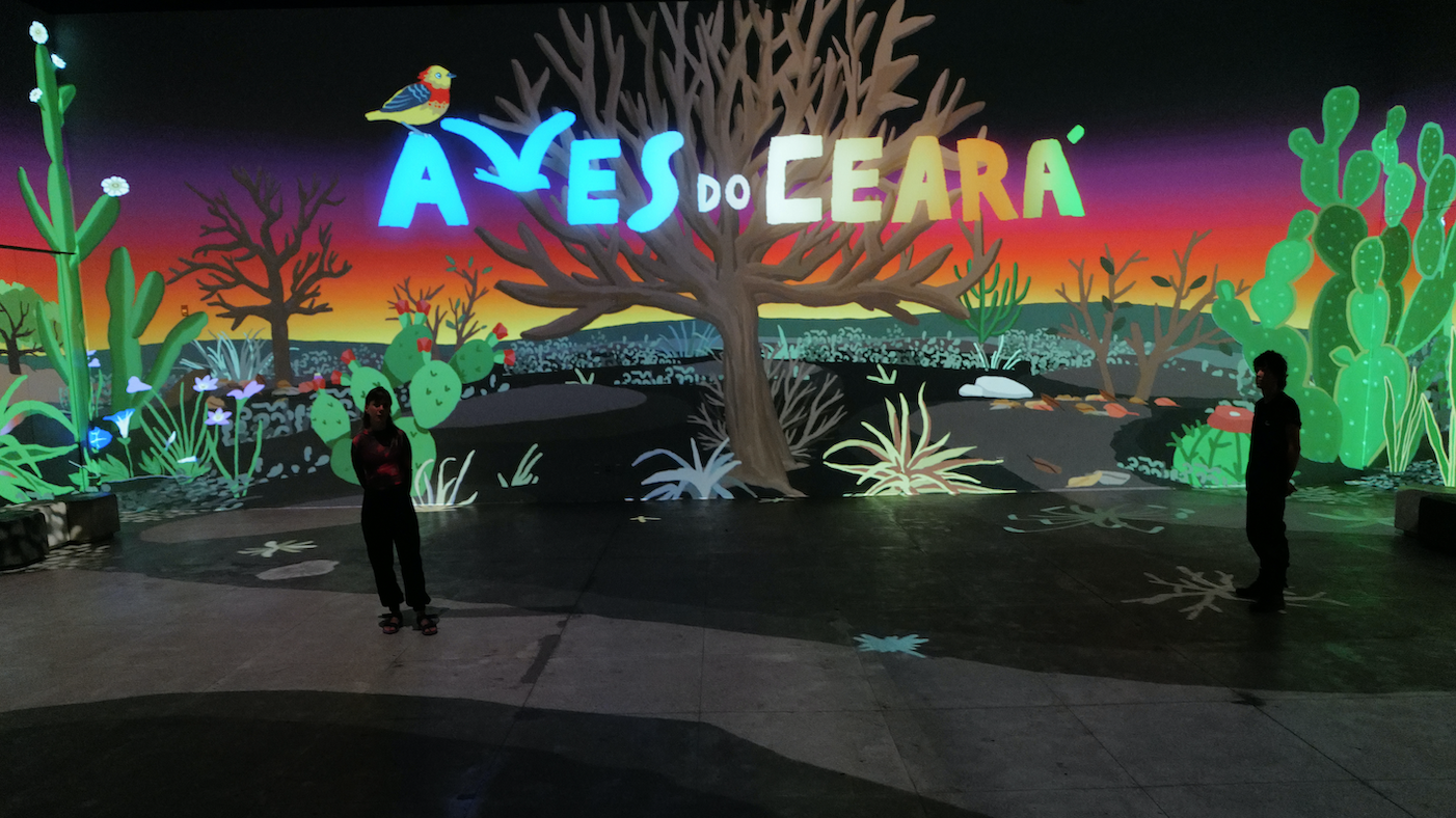 Birds of Northeast Brazil Installation photography
