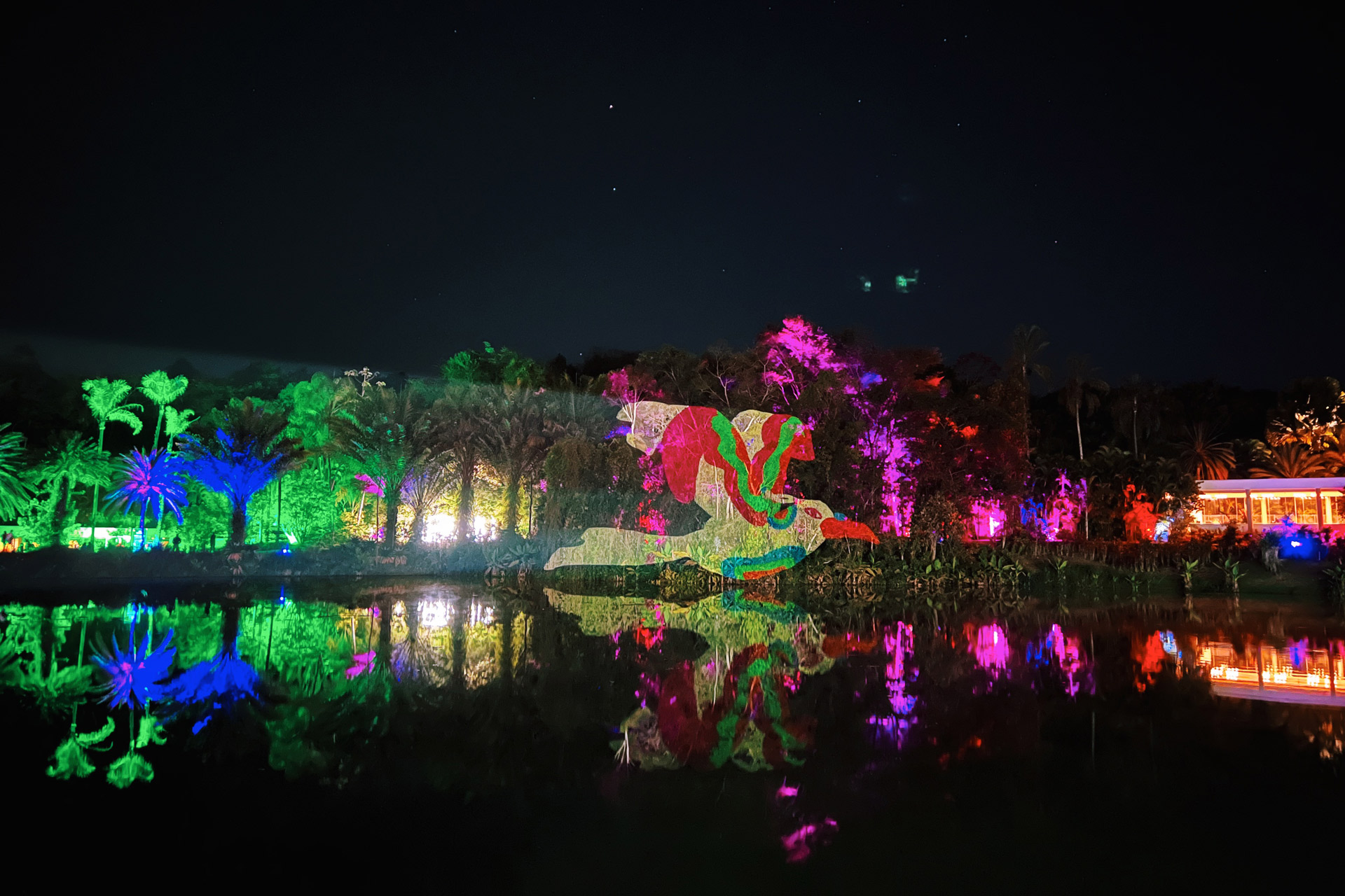 Videomapping projections of VJ Suave Suaveciclo over Inhotim's park in Brazil