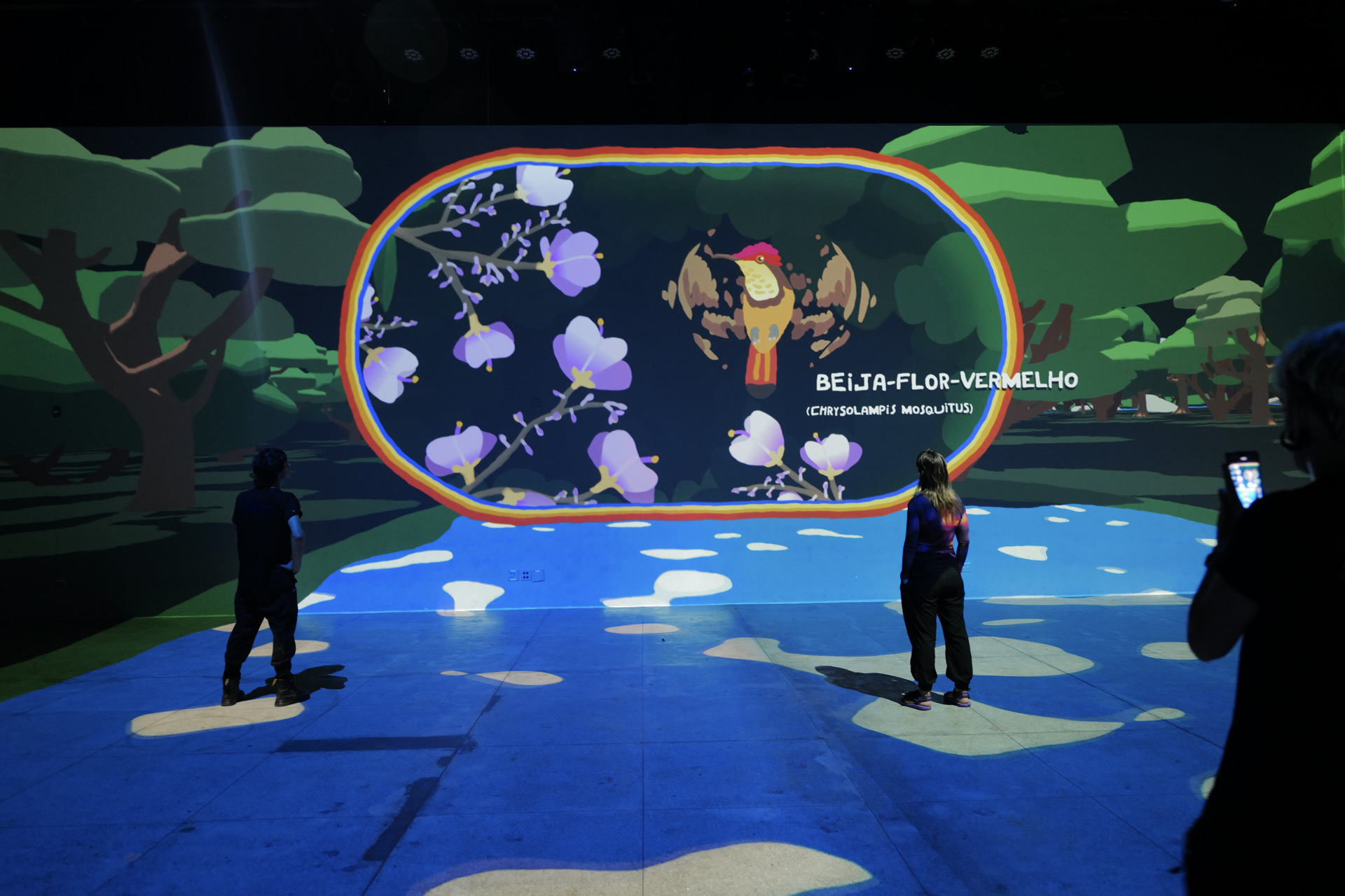 Photo of the immersive projection mapping installation, a magnifying glass made of rainbow identifies a hummingbird, providing its name and scientific description