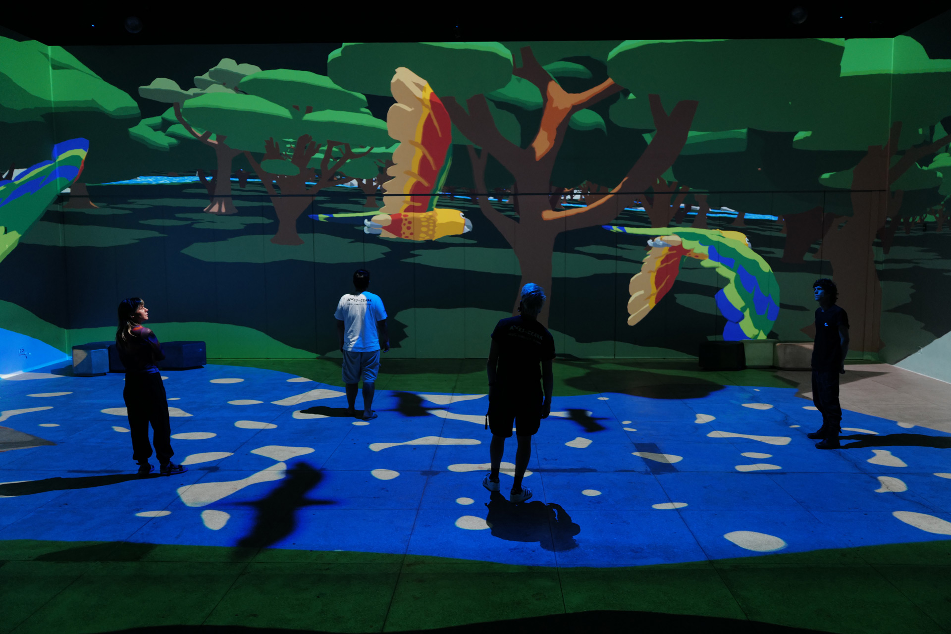 Photo of the immersive projection mapping installation, voo das maracanãs.