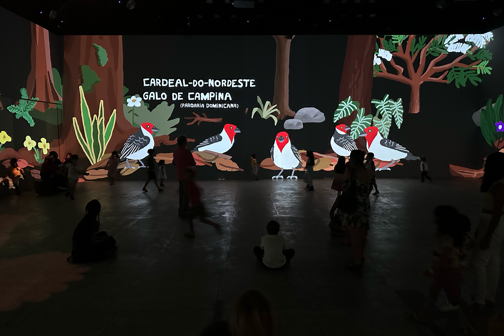 Photo of the immersive projection mapping installation, scene of a collective of birds named Cardeal, with red head and white body