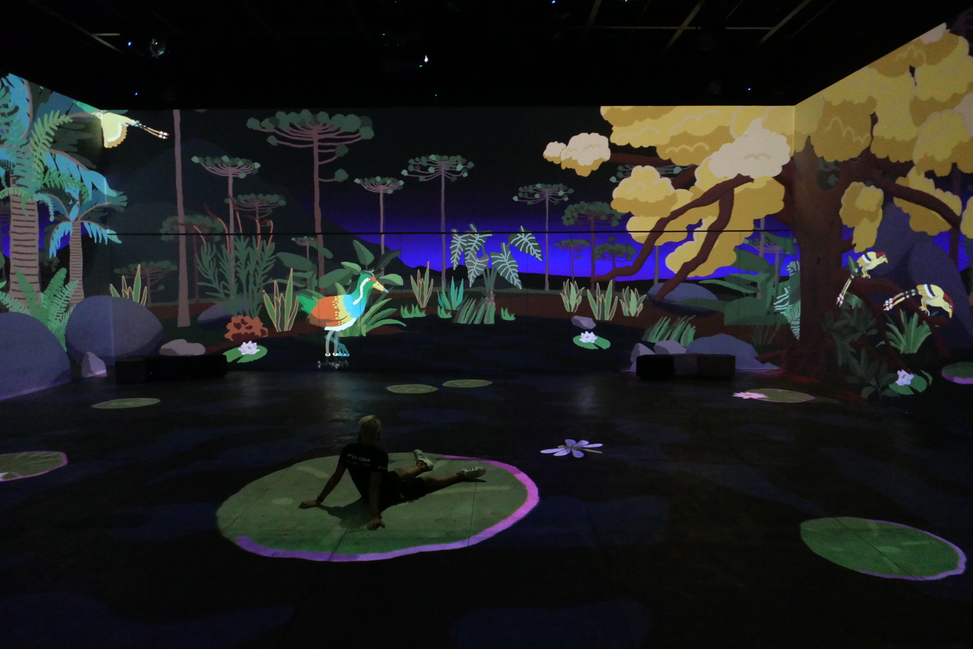 Photo of the immersive projection mapping installation, a person sits on a projected Lillypad and watches an ancestral bird feeding