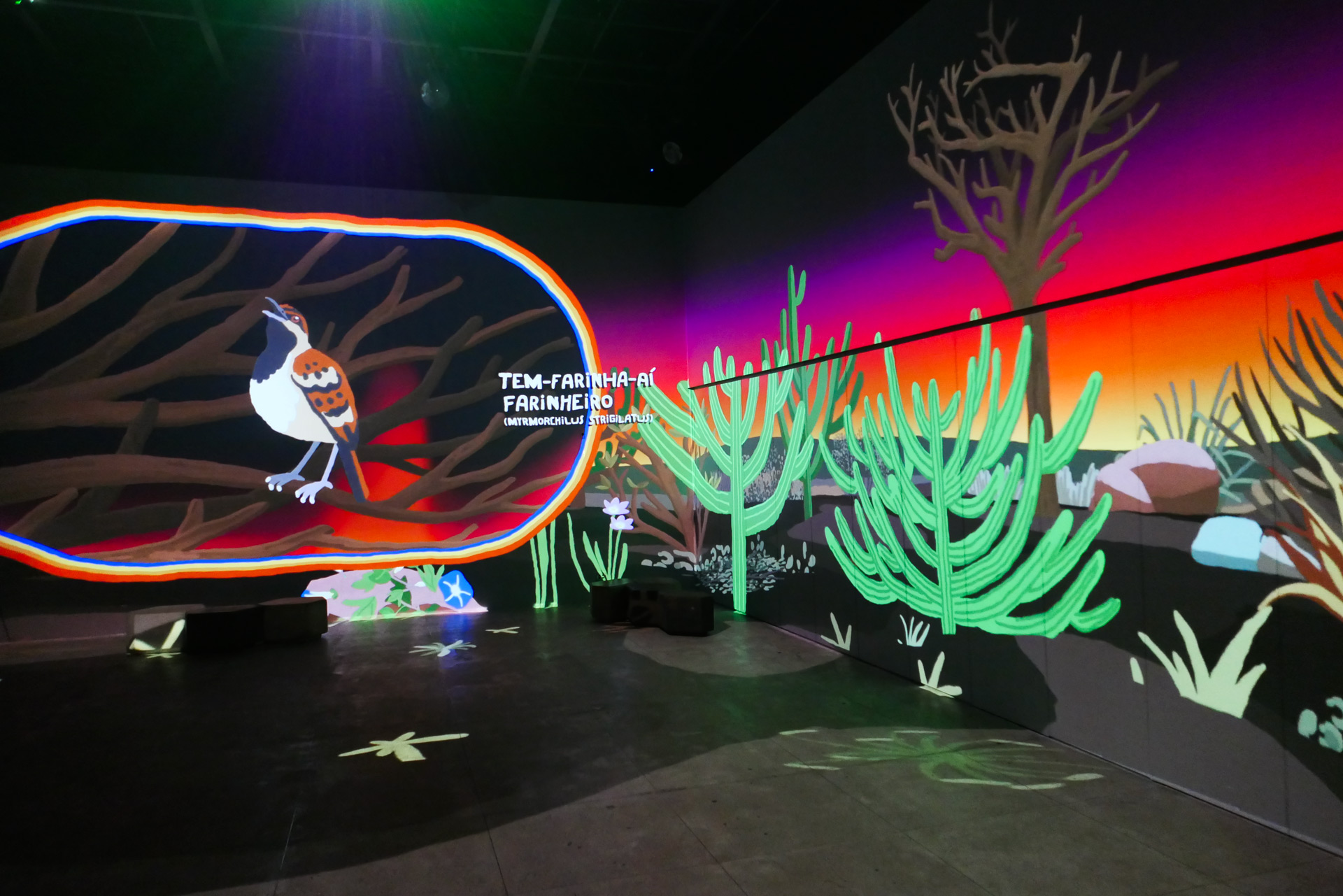 Photo inside the immersive intallation. Photography by Ygor Marotta